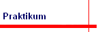 Praktikum