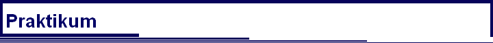 Praktikum